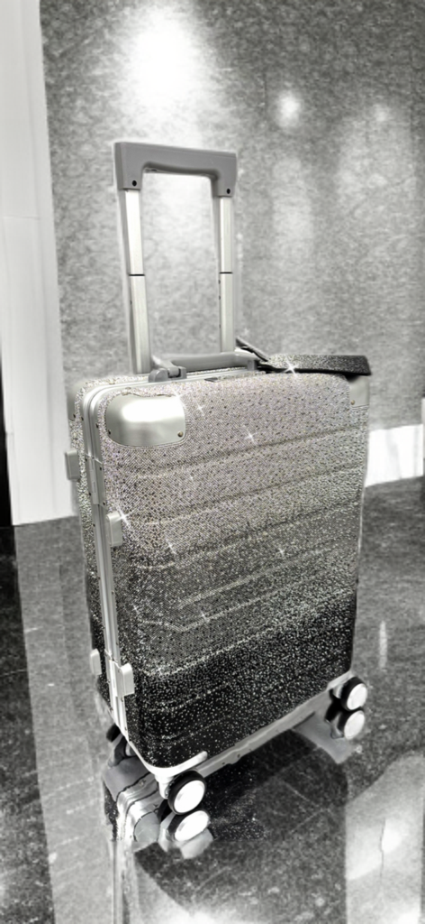 Luggage