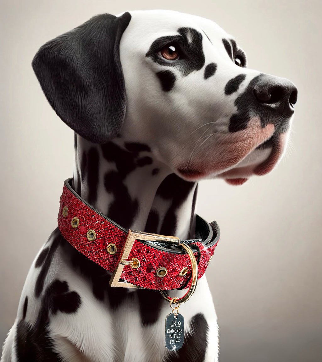 Diamonds in the Ruff - Jacqueline Kent