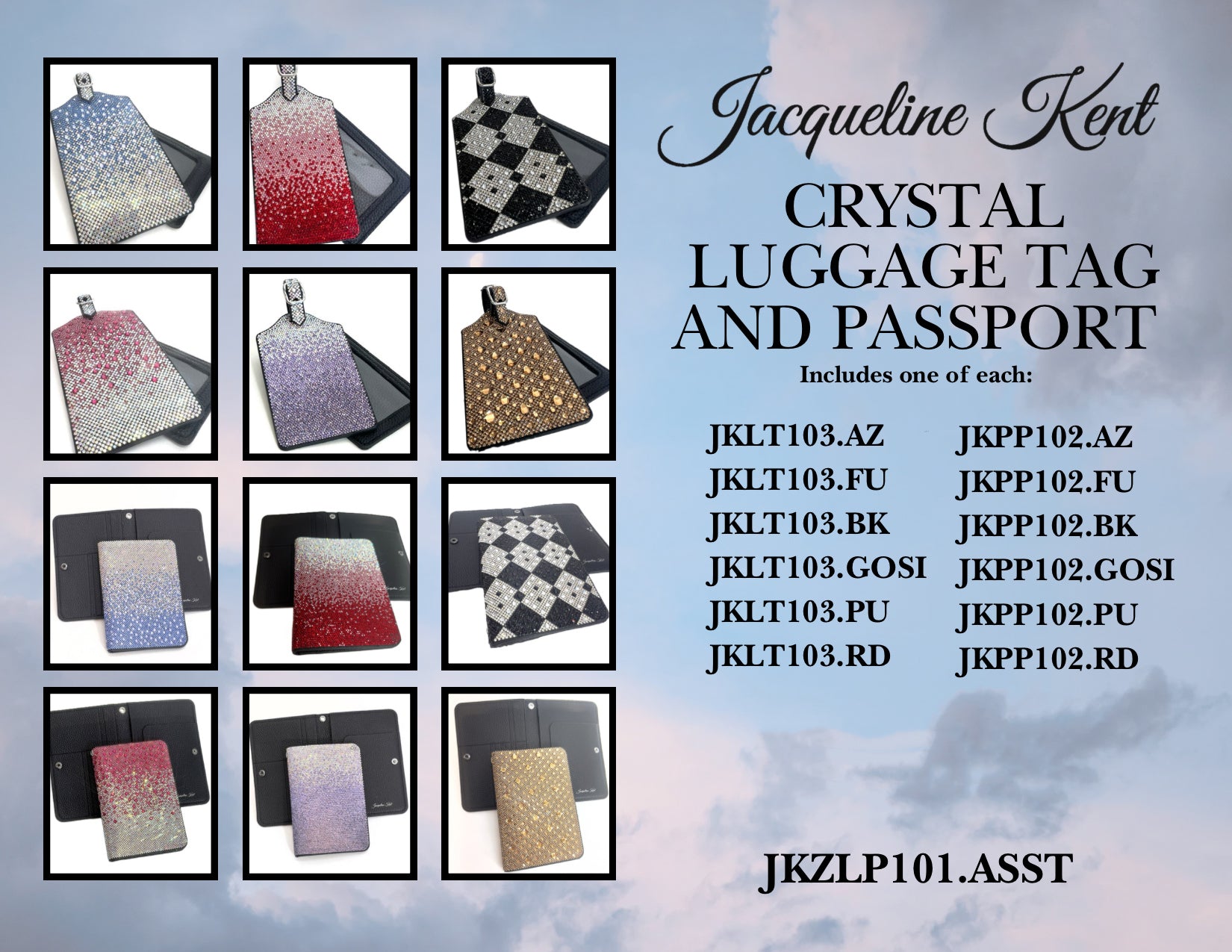 LUGGAE TAG/PASSPORT HOLDER ASSORTMENT