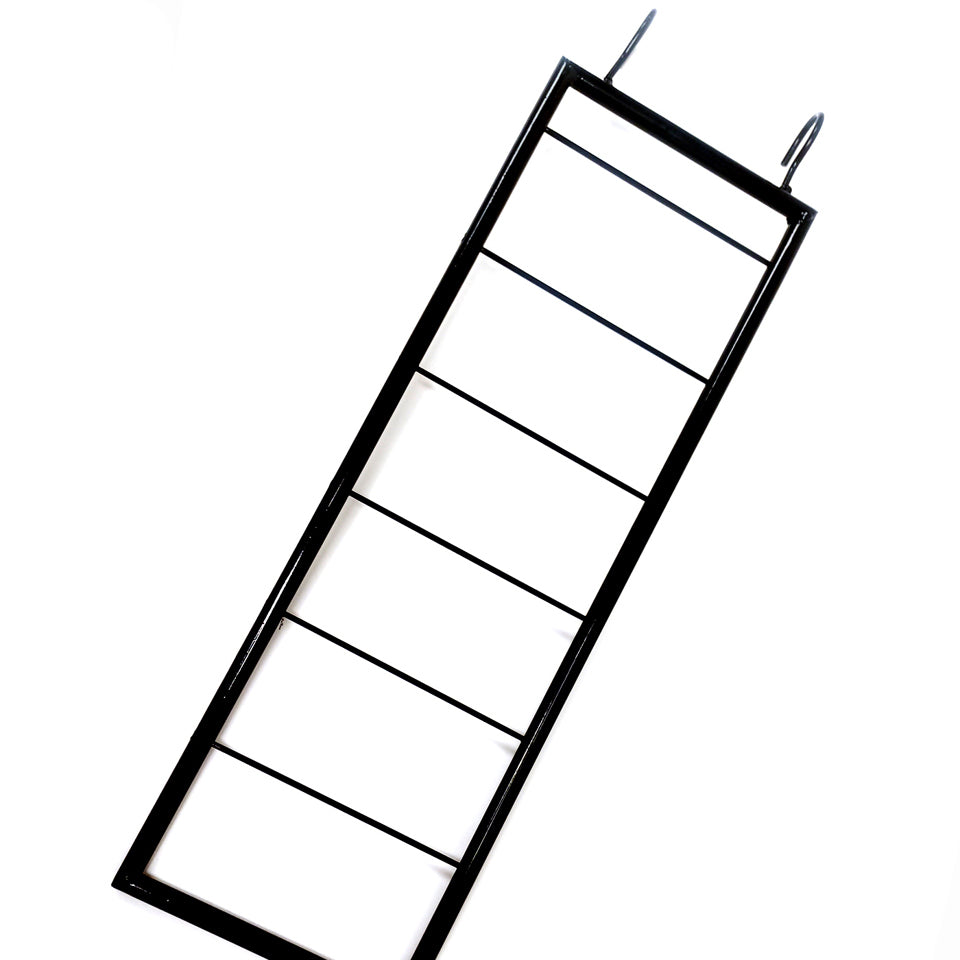 EARRING DISPLAY LADDER